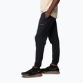 Pánske trekingové nohavice Columbia Hike Jogger II black 3