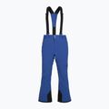 Pánske lyžiarske nohavice Columbia Cirque Bowl mountain blue 10