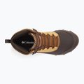 Pánska obuv Columbia Expeditionist Shield V2 curry/ light brown 13