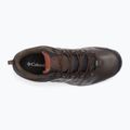 Pánske trekové topánky Jack Wolfskin Dromoventure Wt Texapore Mid cold coffe 15