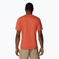 Pánske tričko Columbia Rapid Ridge Graphic tuscan/heavenly 2