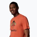 Pánske tričko Columbia Rapid Ridge Graphic tuscan/heavenly 3