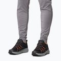 Pánske turistické topánky Columbia Peakfreak Roam black/red quartz 17