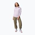 Dámska fleecová mikina Columbia Glacial IV 1/2 Zip lavender pearl 2