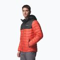 Pánska bunda Columbia Powder Lite II Hooded zing/shark 4