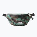Ľadvinka The North Face Jester Lumbar deep green grass printed camo/asphalt grey 7