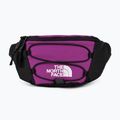Ľadvinka The North Face Jester Lumbar purple/white