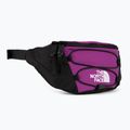 Ľadvinka The North Face Jester Lumbar purple/white 2
