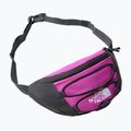 Ľadvinka The North Face Jester Lumbar purple/white 6