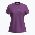 Icebreaker dámske trekingové tričko Merino 150 Tech Lite SS Tee Sparkling Stars passion