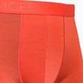 Pánske termo boxerky Icebreaker Anatomica Cool-Lite červené 105223 3