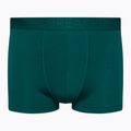 Pánske termo boxerky Icebreaker Anatomica Cool-Lite green 105223
