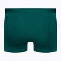 Pánske termo boxerky Icebreaker Anatomica Cool-Lite green 105223 2