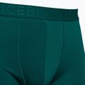 Pánske termo boxerky Icebreaker Anatomica Cool-Lite green 105223 3