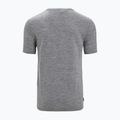 Pánske termo tričko Icebreaker Tech Lite II Nature Sprint sivé IB0A56NB0041 7