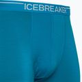 Pánske termo boxerky Icebreaker Anatomica Geo Blue 103029 3