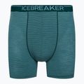 Icebreaker Anatomica Greenglory pánske termo boxerky 103029