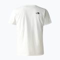 Pánske trekingové tričko The North Face Foundation Graphic white NF0A55EFQ4C1 2