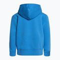 Detská trekingová mikina The North Face Drew Peak P/O Hoodie blue NF0A82ENLV61 2