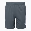 Detské šortky Nike Dri-Fit Multi smoke grey/white