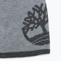 Zimná čiapka pánska Timberland Reversible Logo Beanie light grey heather 2