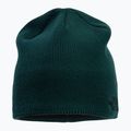 The North Face Bones Recycled zelená zimná čiapka NF0A3FNSD7V1 2