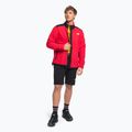 Pánska fleecová mikina The North Face Alpine Polartec 200 červená NF0A7WWLKZ31 2