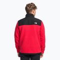 Pánska fleecová mikina The North Face Alpine Polartec 200 červená NF0A7WWLKZ31 4