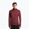 Pánska mikina Icebreaker Merino 260 Quantum IV LS Zip Hoodie port/agate