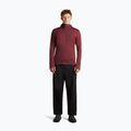 Pánska mikina Icebreaker Merino 260 Quantum IV LS Zip Hoodie port/agate 4