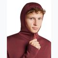 Pánska mikina Icebreaker Merino 260 Quantum IV LS Zip Hoodie port/agate 6