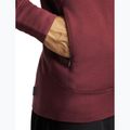 Pánska mikina Icebreaker Merino 260 Quantum IV LS Zip Hoodie port/agate 9