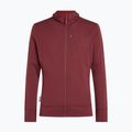 Pánska mikina Icebreaker Merino 260 Quantum IV LS Zip Hoodie port/agate 10