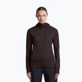 Dámska mikina Icebreaker Merino 260 Quantum IV LS Zip Hoodie bittersweet