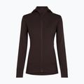 Dámska mikina Icebreaker Merino 260 Quantum IV LS Zip Hoodie bittersweet 9