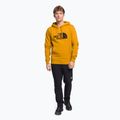 Pánska trekingová mikina The North Face Drew Peak Pullover Hoodie yellow NF00AHJY76S1 2