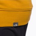 Pánska trekingová mikina The North Face Drew Peak Pullover Hoodie yellow NF00AHJY76S1 9
