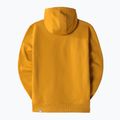 Pánska trekingová mikina The North Face Drew Peak Pullover Hoodie yellow NF00AHJY76S1 11