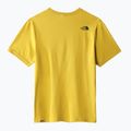 Pánske trekingové tričko The North Face Easy yellow NF0A2TX376S1 9