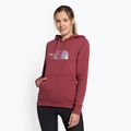 Dámska trekingová mikina The North Face Drew Peak Pullover Hoodie wild ginger NF0A55EC6R41