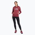 Dámska trekingová mikina The North Face Drew Peak Pullover Hoodie wild ginger NF0A55EC6R41 2