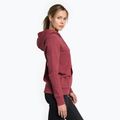 Dámska trekingová mikina The North Face Drew Peak Pullover Hoodie wild ginger NF0A55EC6R41 3