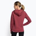 Dámska trekingová mikina The North Face Drew Peak Pullover Hoodie wild ginger NF0A55EC6R41 4