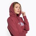 Dámska trekingová mikina The North Face Drew Peak Pullover Hoodie wild ginger NF0A55EC6R41 5