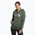 Dámska trekingová mikina The North Face Drew Peak Pullover Hoodie green NF0A55ECNYC1