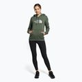 Dámska trekingová mikina The North Face Drew Peak Pullover Hoodie green NF0A55ECNYC1 2