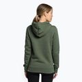 Dámska trekingová mikina The North Face Drew Peak Pullover Hoodie green NF0A55ECNYC1 4