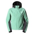 Dámska softshellová bunda The North Face AO Softshell Hoodie green NF0A7ZE990Q1 9