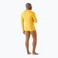 Pánska termoaktívna mikina Smartwool Merino 250 Baselayer Crew Boxed honey gold 2