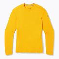 Pánska termoaktívna mikina Smartwool Merino 250 Baselayer Crew Boxed honey gold 6